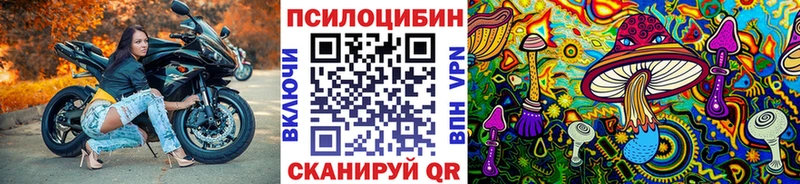 Псилоцибиновые грибы Psilocybine cubensis  даркнет состав  Канаш 
