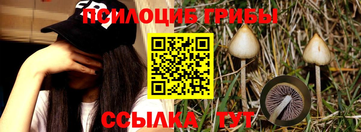 Галлюциногенные грибы Cubensis  Псилоцибиновые грибы мухоморы  Канаш  Вход с VPN 
